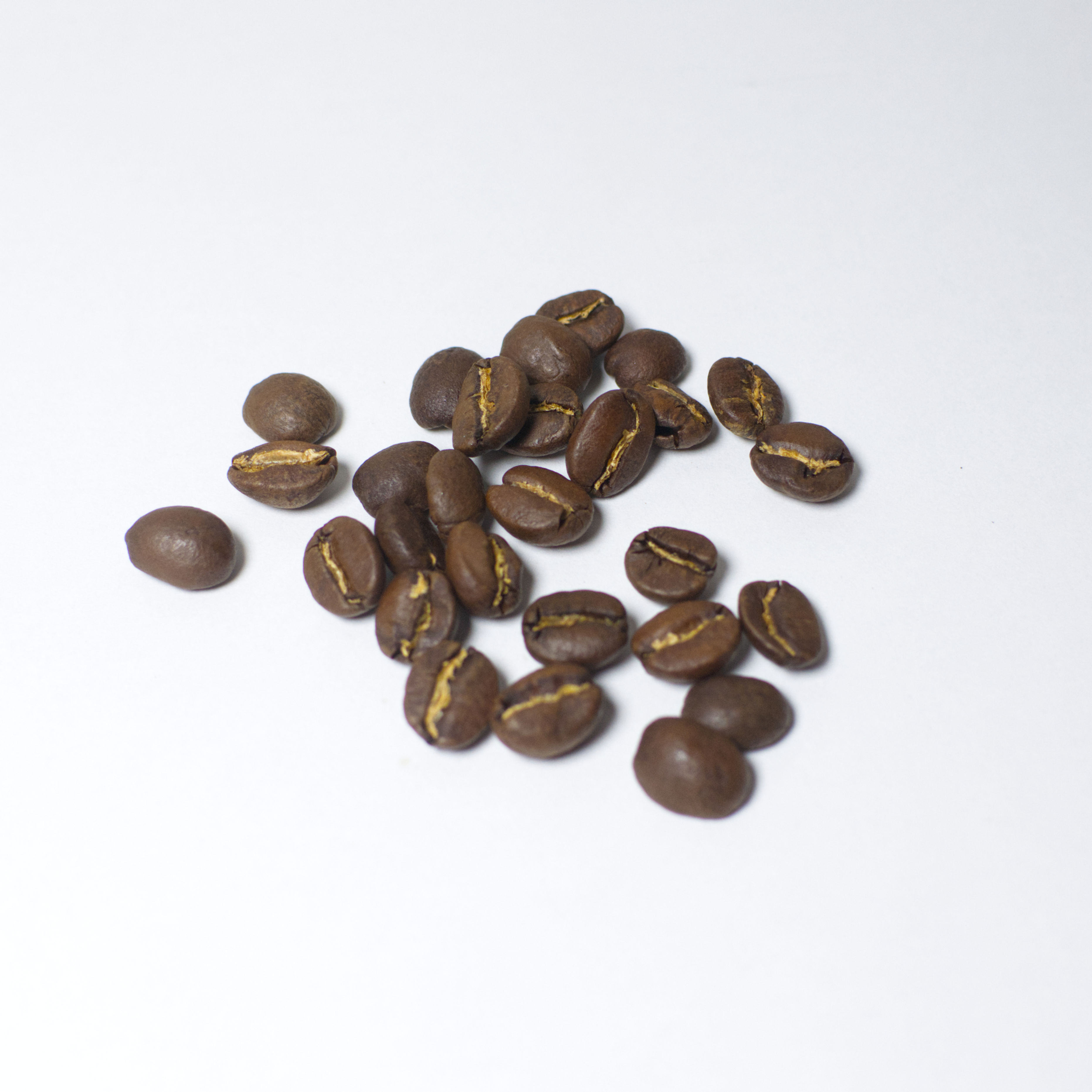 ケニア・オークションロット