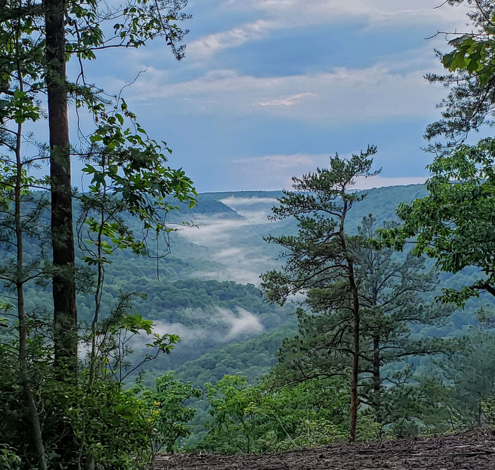 Fog Rolling In, Wilder Mountain TN, June 2021