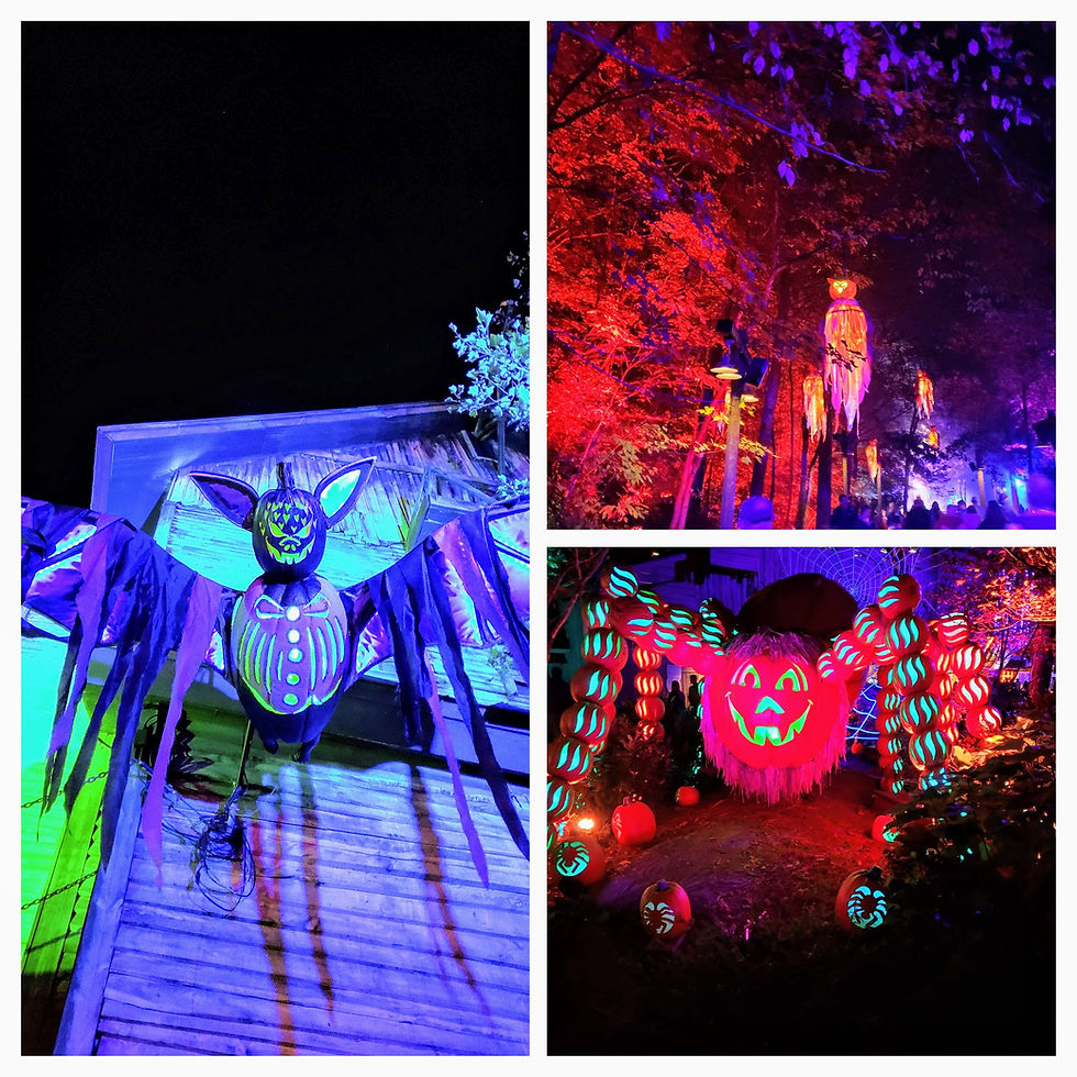 Creepy Spooky Things