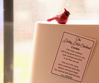My Cardinal Charm