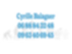 site+cyrille3+copie