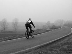 Nebbia