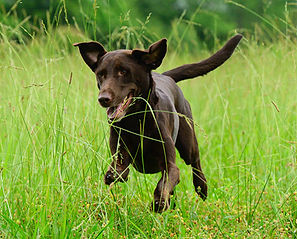 IMG_0035_edited.jpg