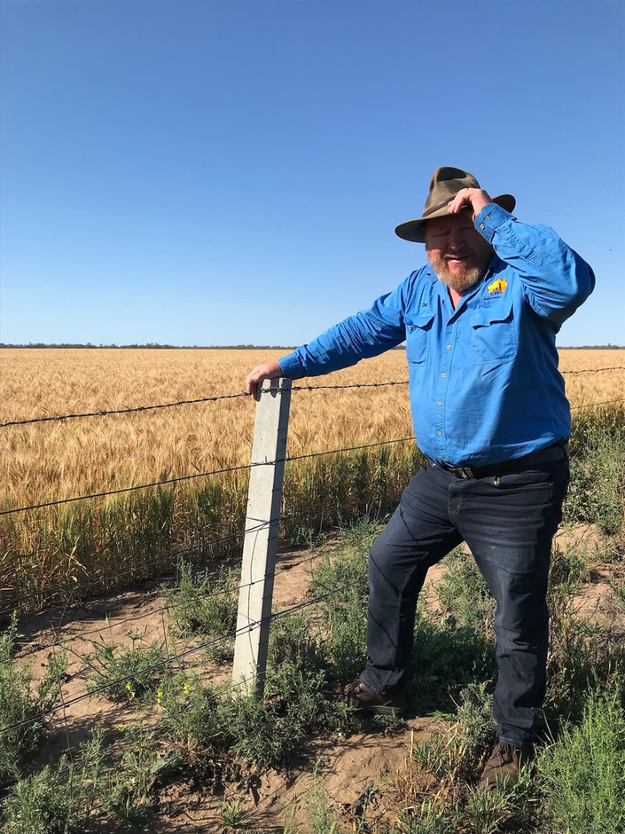 Gallery Concrete Posts and Pickets