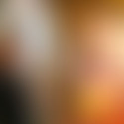 If the government shuts down again, is my trip to DC ruined?