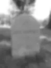 ree