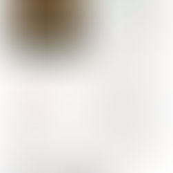 Foggy Bottom News PDF - January 1, 2021 Issue