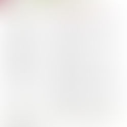 Foggy Bottom News PDF - January 3 Issue