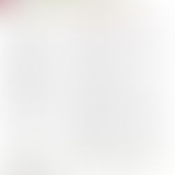 Foggy Bottom News PDF - January 3 Issue