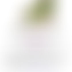 NEW DATE FOR NEIGHBORHOOD CLEAN-UP