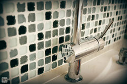 אילנות, חיפה