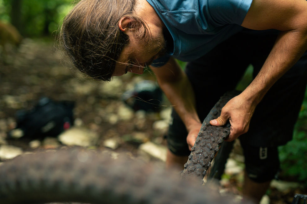 Bobo wechselt bei einer Mountainbike-Tour im Wald einen Reifen