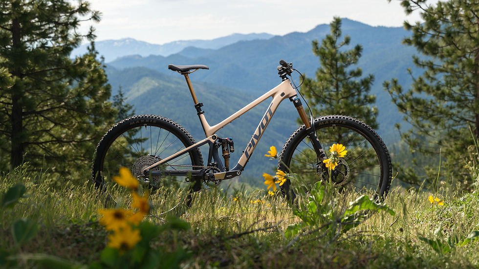 Pivot Trailcat LT Mountainbike auf einem Trail im Wald.