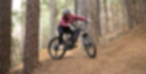 Shuttle AMPd-PivotCycles.121-1.jpg