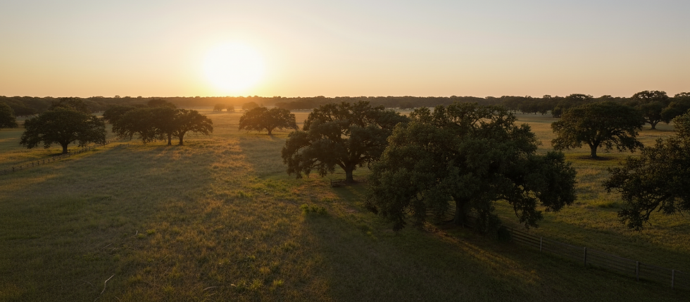 Texas property land