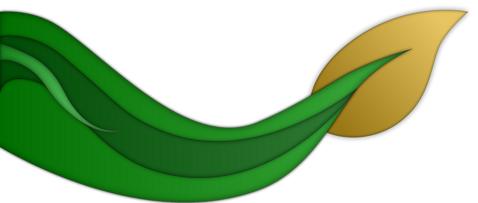 Backround_2_2_edited.png
