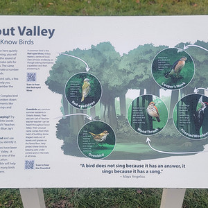 Scout Valley Interpretive Signs