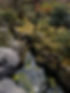 ReferenceMaterial_7_edited.jpg