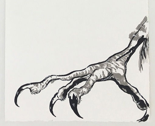 Harpies: Ocypete (Swift Wing)