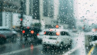St. Louis weather forecast