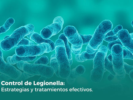 "Health officials respond after Legionella bacteria St. Louis was detected in a school district administrative building."
