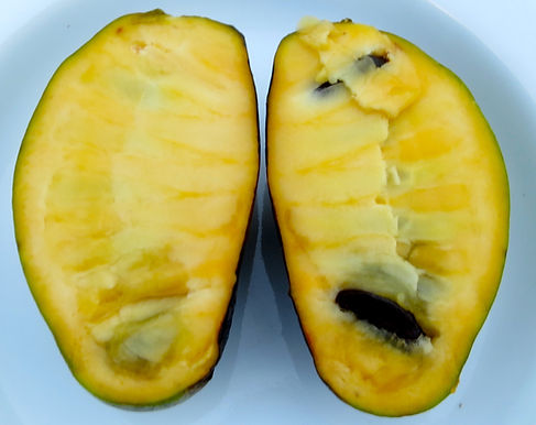 UK Pawpaws