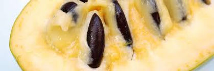 Halvin Pawpaw Fruit