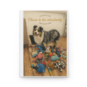 Hardcover Journal Matte