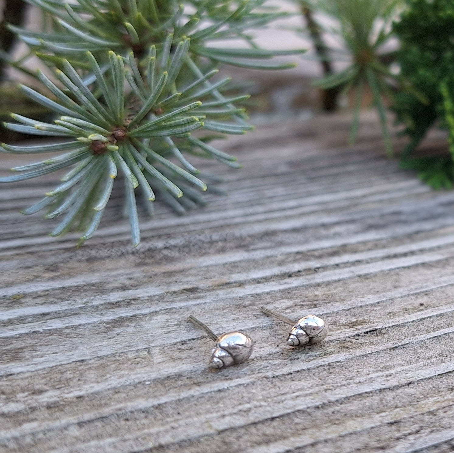 Solid silver baby periwinkle stud earrings