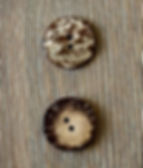 2 round coconut buttons, one from the front and one from the back