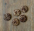 5 round coconut buttons
