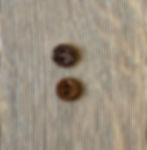 2 small round coconut buttons, one from the front and one from the back