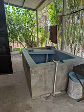 PXL_20250608_161329942.MP.jpg