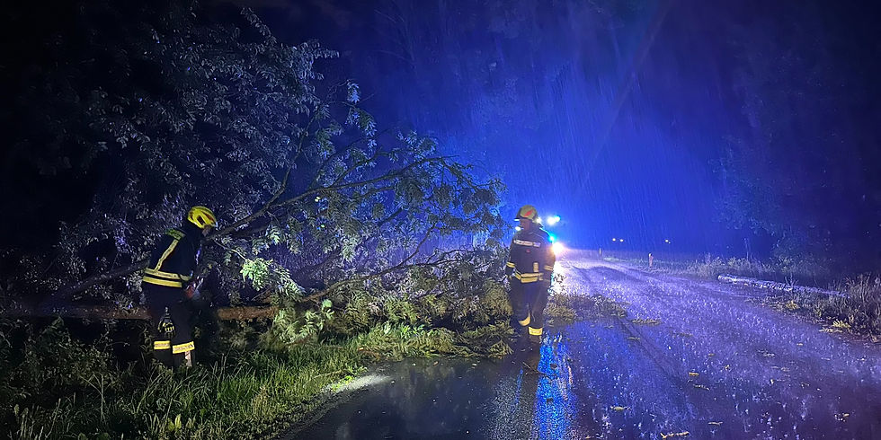 Ernsthofen, 02.06.2026 - Umgestürzter Baum blockierte Fahrbahn