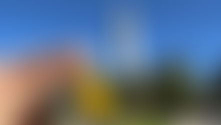 화학계의 새로운 샛별, COF