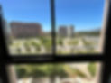IMG_9558.jpeg