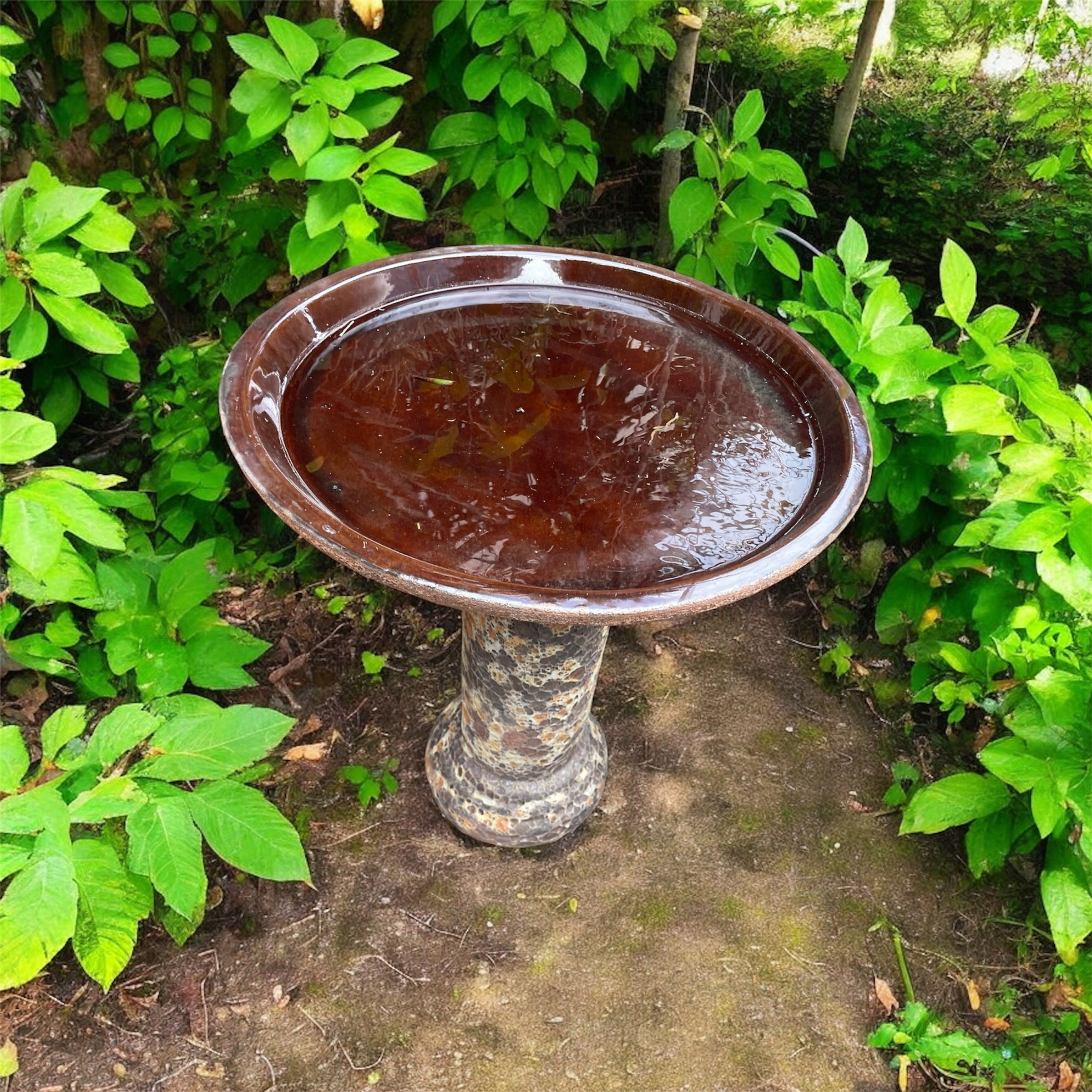 Bird Bath Bubble Rust Shallow Dish – image 1