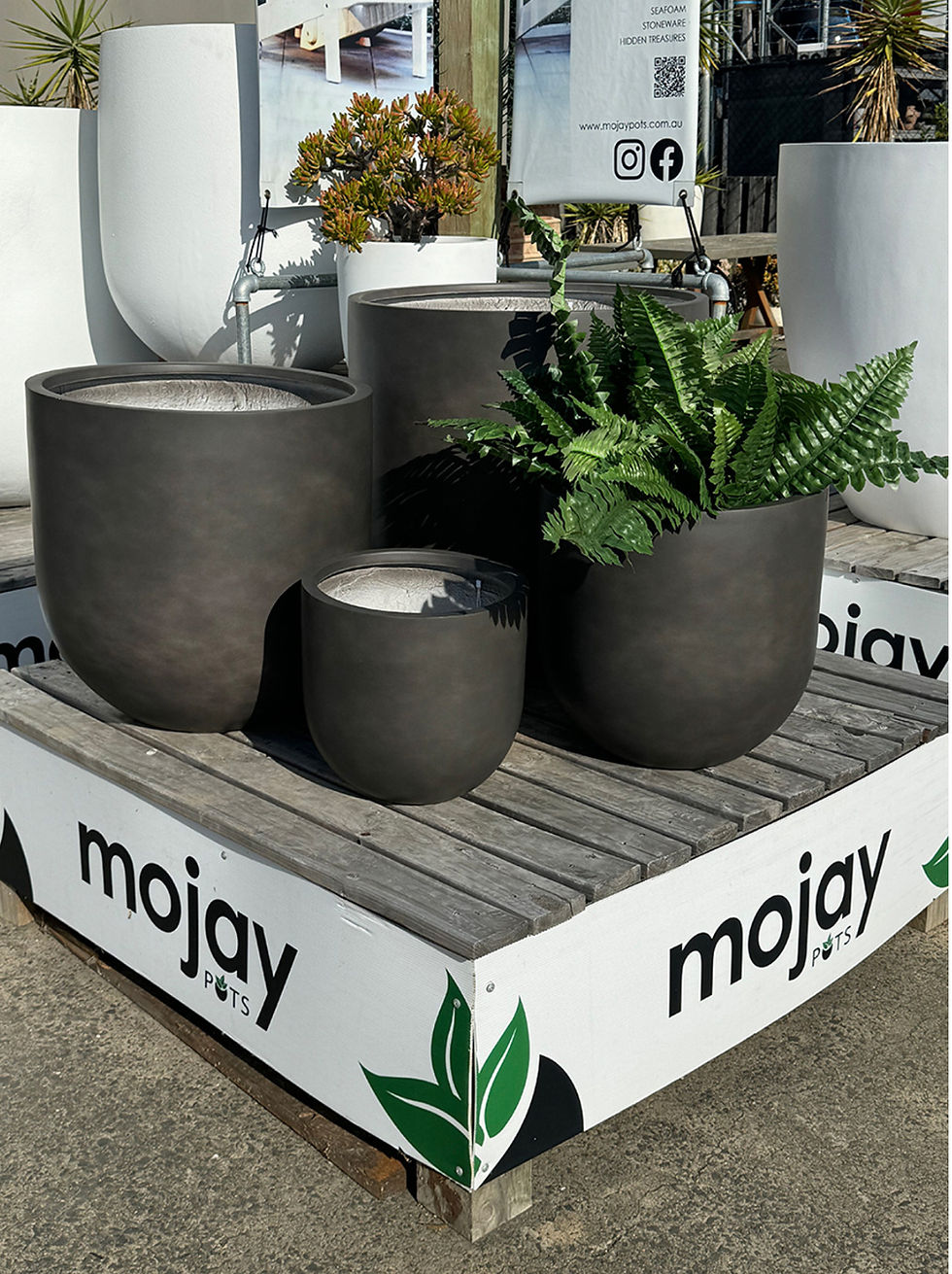 almoral Egg Planter with plant