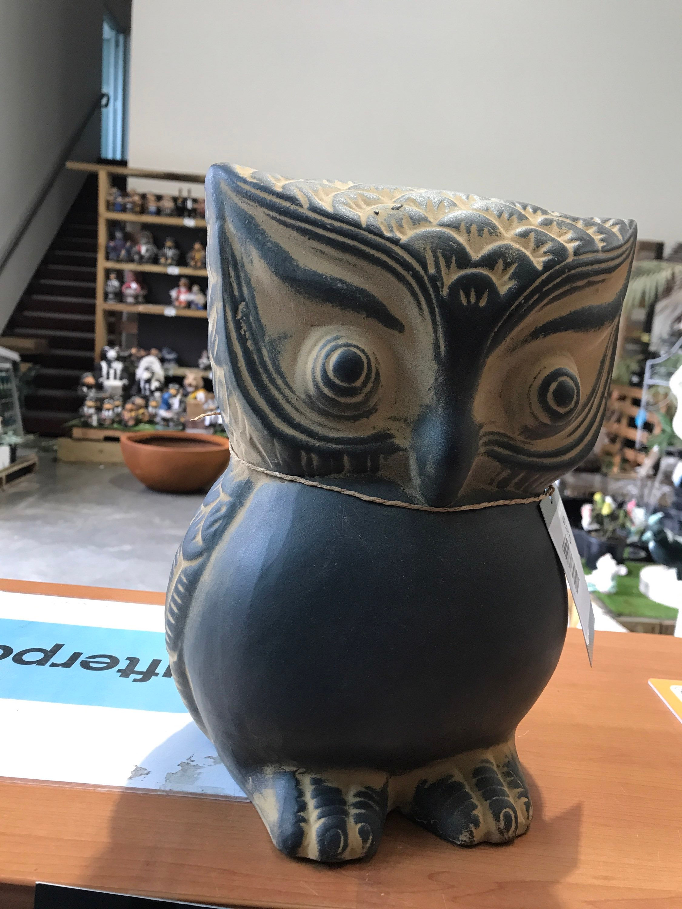 Owl Grey