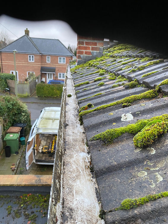 A moss covered roof