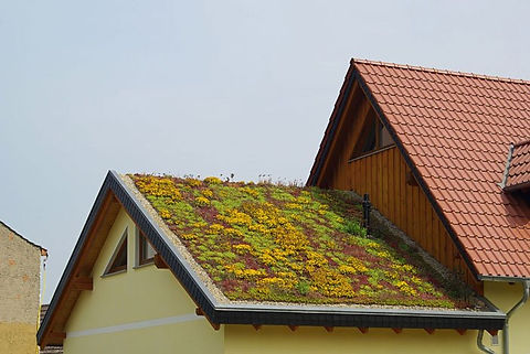 Eco-friendly green roof