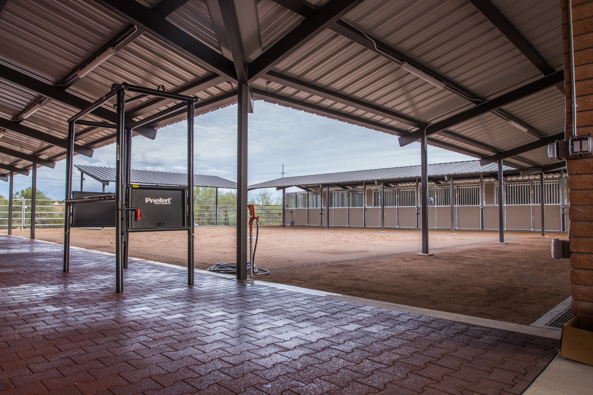 Large and Small Animal Veterinary Tucson, Arizona