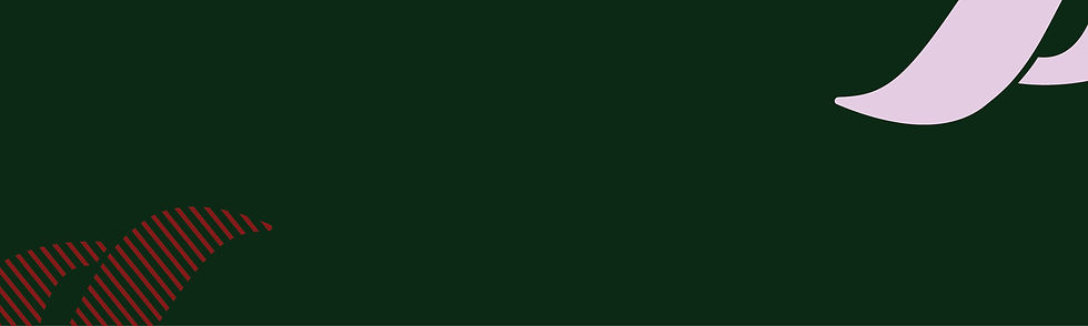 website banner (green, red + pink).jpg