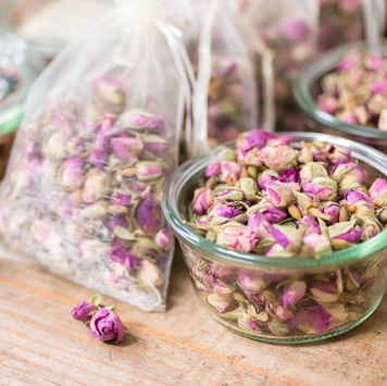 Fotografie © Susanne Weiss für Traumduft