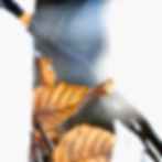 DSCF5700.jpg
