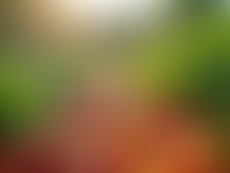 Empowering Communities Through Sunshine Community Harvest Programs