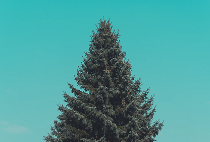 Screen Shot 2018-04-15 at 5.04.53 PM.png