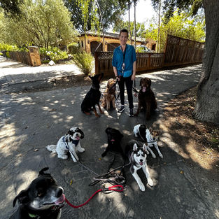 The Gentleman's Paw in action in Santa Clara County