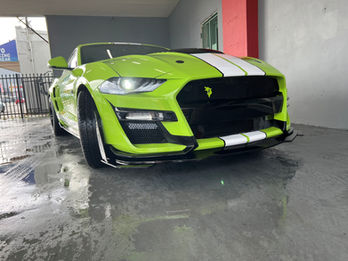 Australia Custom Mustang Car