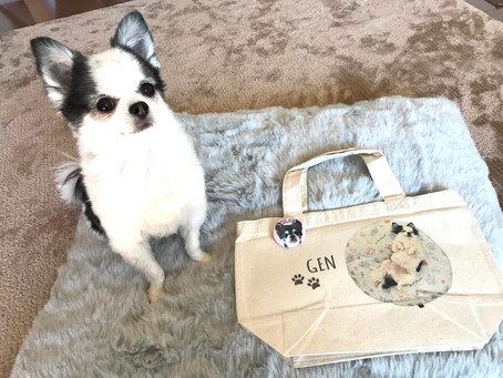 Customer Reviews掲載開始!